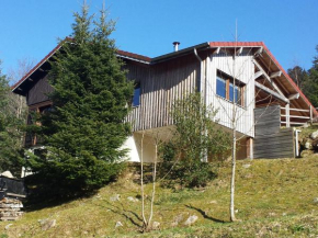 Chalet La Bresse, 5 pièces, 11 personnes - FR-1-589-86